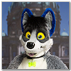 Eurofurence 2014 fursuit photoshoot. Preview picture of Lars