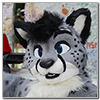 Eurofurence 2014 fursuit photoshoot. Preview picture of Zane