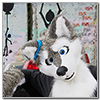 Eurofurence 2014 fursuit photoshoot. Preview picture of HemiHusky