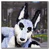 Eurofurence 2014 fursuit photoshoot. Preview picture of Zuzu