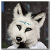 Eurofurence 2014 fursuit photoshoot. Preview picture of Wolftale