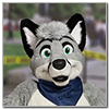 Eurofurence 2014 fursuit photoshoot. Preview picture of Silver