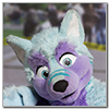 Eurofurence 2014 fursuit photoshoot. Preview picture of Keenora