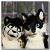 Eurofurence 2014 fursuit photoshoot. Preview picture of Cuja, Tristan