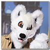 Eurofurence 2014 fursuit photoshoot. Preview picture of FluffyDog