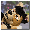 Eurofurence 2014 fursuit photoshoot. Preview picture of Avik