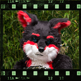 Eurofurence 2015 fursuit photoshoot. Preview picture of Blackie