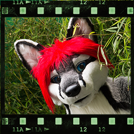 Eurofurence 2015 fursuit photoshoot. Preview picture of Svix