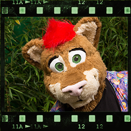 Eurofurence 2015 fursuit photoshoot. Preview picture of Adcro