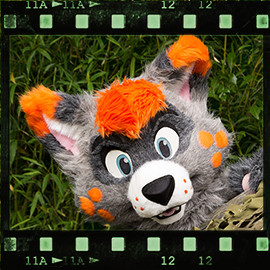 Eurofurence 2015 fursuit photoshoot. Preview picture of Ralphie Racoon