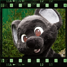 Eurofurence 2015 fursuit photoshoot. Preview picture of Mausie