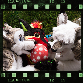 Eurofurence 2015 fursuit photoshoot. Preview picture of Softwolfi, Stopfi, Jacky