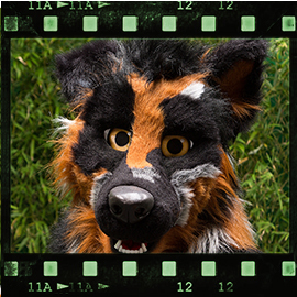 Eurofurence 2015 fursuit photoshoot. Preview picture of Cole