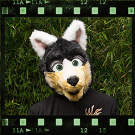 Eurofurence 2015 fursuit photoshoot. Preview picture of Sparkley