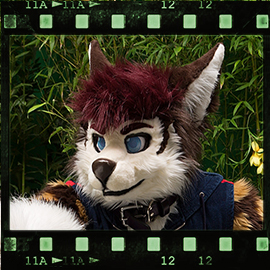 Eurofurence 2015 fursuit photoshoot. Preview picture of Dexter