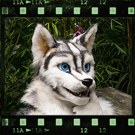 Eurofurence 2015 fursuit photoshoot. Preview picture of Huscai