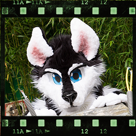 Eurofurence 2015 fursuit photoshoot. Preview picture of Sunny