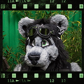 Eurofurence 2015 fursuit photoshoot. Preview picture of Klaatu