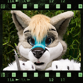 Eurofurence 2015 fursuit photoshoot. Preview picture of Bailey