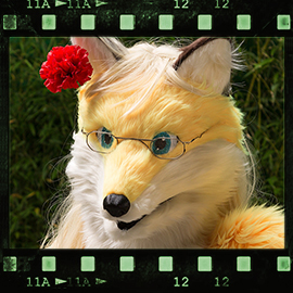 Eurofurence 2015 fursuit photoshoot. Preview picture of J C  Fox