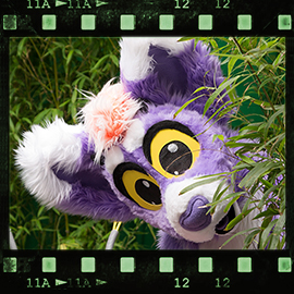 Eurofurence 2015 fursuit photoshoot. Preview picture of Amber Claw Petrichor