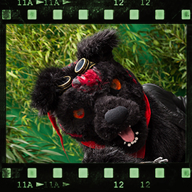 Eurofurence 2015 fursuit photoshoot. Preview picture of Giovanni Magnus