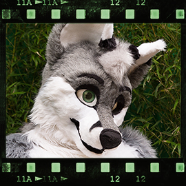 Eurofurence 2015 fursuit photoshoot. Preview picture of Hyro