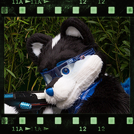 Eurofurence 2015 fursuit photoshoot. Preview picture of Zippy the Skunk