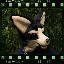 Eurofurence 2015 fursuit photoshoot. Preview picture of Cheenook Wolfskin