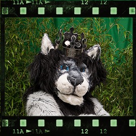 Eurofurence 2015 fursuit photoshoot. Preview picture of KingTaibu