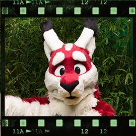 Eurofurence 2015 fursuit photoshoot. Preview picture of Swip