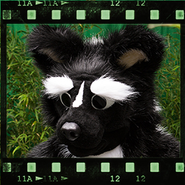 Eurofurence 2015 fursuit photoshoot. Preview picture of Stinky