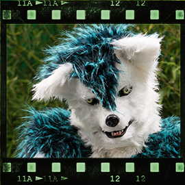 Eurofurence 2015 fursuit photoshoot. Preview picture of LÃ½cos