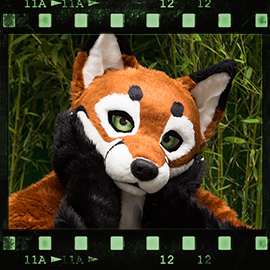 Eurofurence 2015 fursuit photoshoot. Preview picture of Vulpes