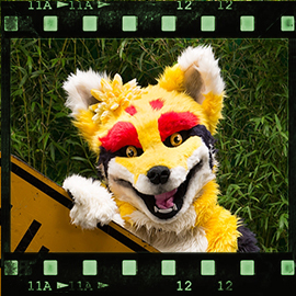 Eurofurence 2015 fursuit photoshoot. Preview picture of Blazer18