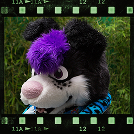 Eurofurence 2015 fursuit photoshoot. Preview picture of Melody