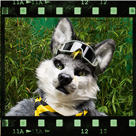 Eurofurence 2015 fursuit photoshoot. Preview picture of Sorin Omega