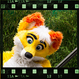 Eurofurence 2015 fursuit photoshoot. Preview picture of ESC