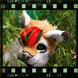 Eurofurence 2015 fursuit photoshoot. Preview picture of Cato