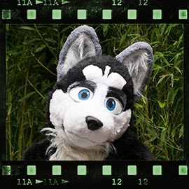 Eurofurence 2015 fursuit photoshoot. Preview picture of Jett