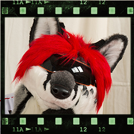 Eurofurence 2016 fursuit photoshoot. Preview picture of Svix