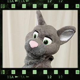 Eurofurence 2016 fursuit photoshoot. Preview picture of Rattus