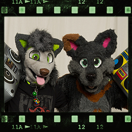 Eurofurence 2016 fursuit photoshoot. Preview picture of Dave, Danwolf