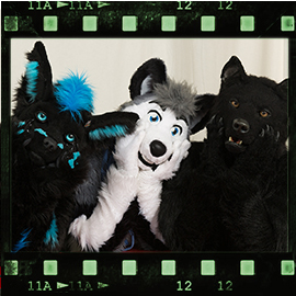 Eurofurence 2016 fursuit photoshoot. Preview picture of KatariaWolf, BerkWolf, Skeppo