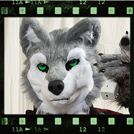 Eurofurence 2016 fursuit photoshoot. Preview picture of Furgil Wolf