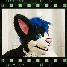 Eurofurence 2016 fursuit photoshoot. Preview picture of Maho