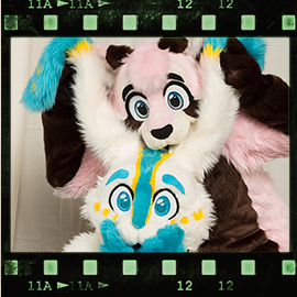 Eurofurence 2016 fursuit photoshoot. Preview picture of Pudding, Knuffie