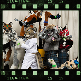 Eurofurence 2016 fursuit photoshoot. Preview picture of Brutus, Kokanee, Leaf Fox, …