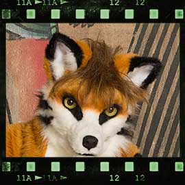 Eurofurence 2017 fursuit photoshoot. Preview picture of Kiddy