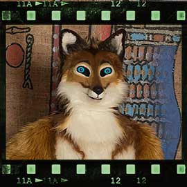 Eurofurence 2017 fursuit photoshoot. Preview picture of Kudy